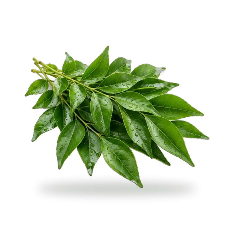 Organic Curry Leaves (Kadi Patta)