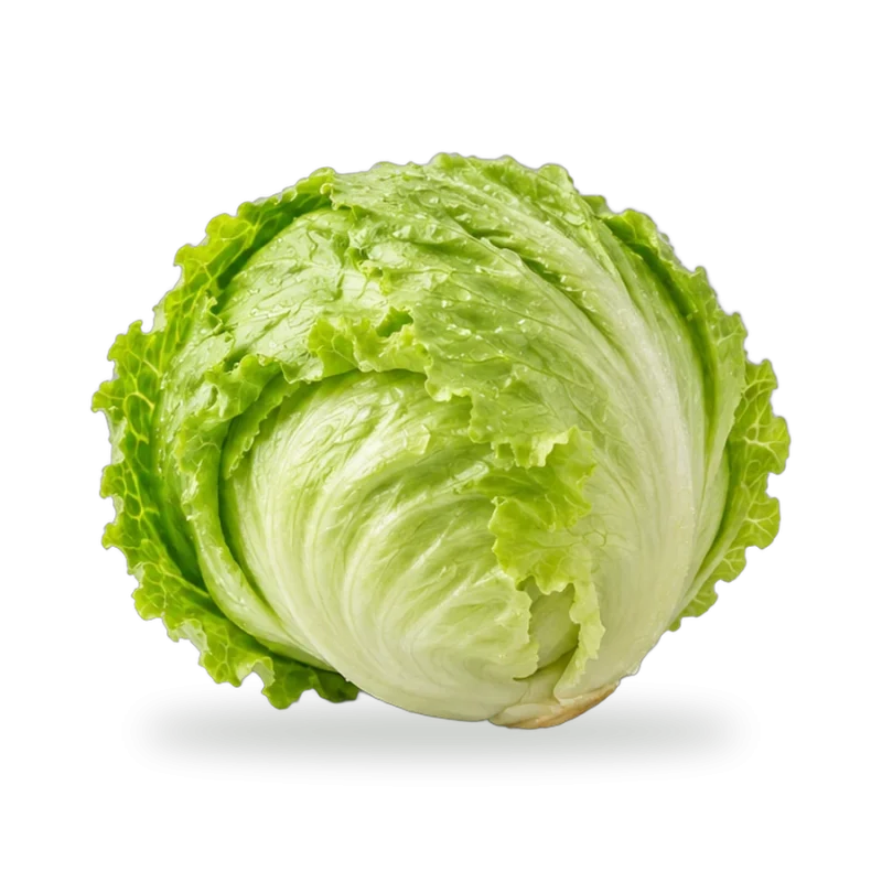 Iceberg Lettuce