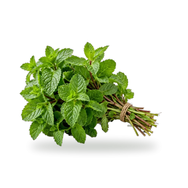 Mint (Pudina)