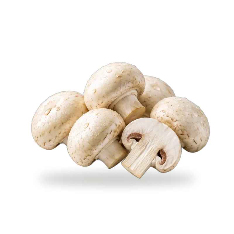 Organic Button Mushroom